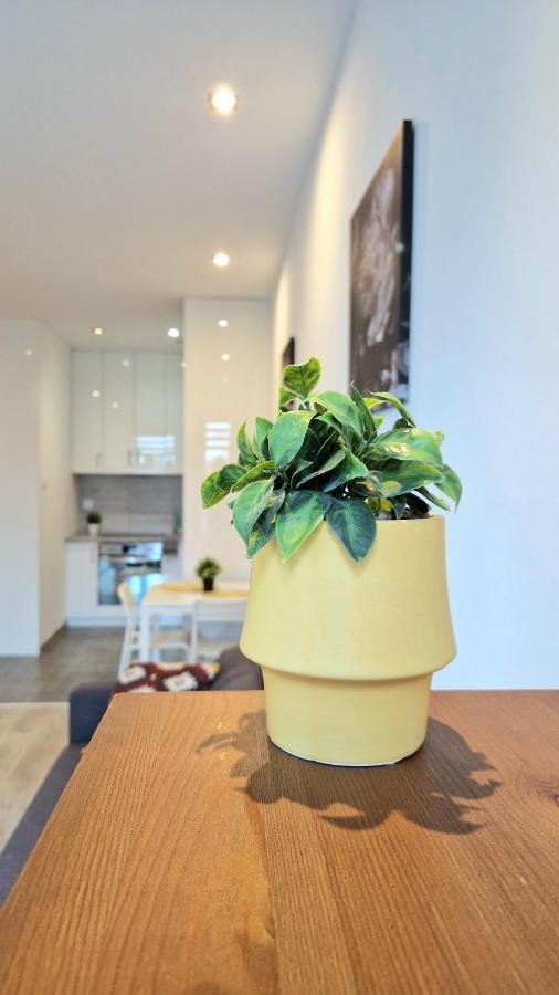 Apartament Czechowska Comfort Lublin Luaran gambar